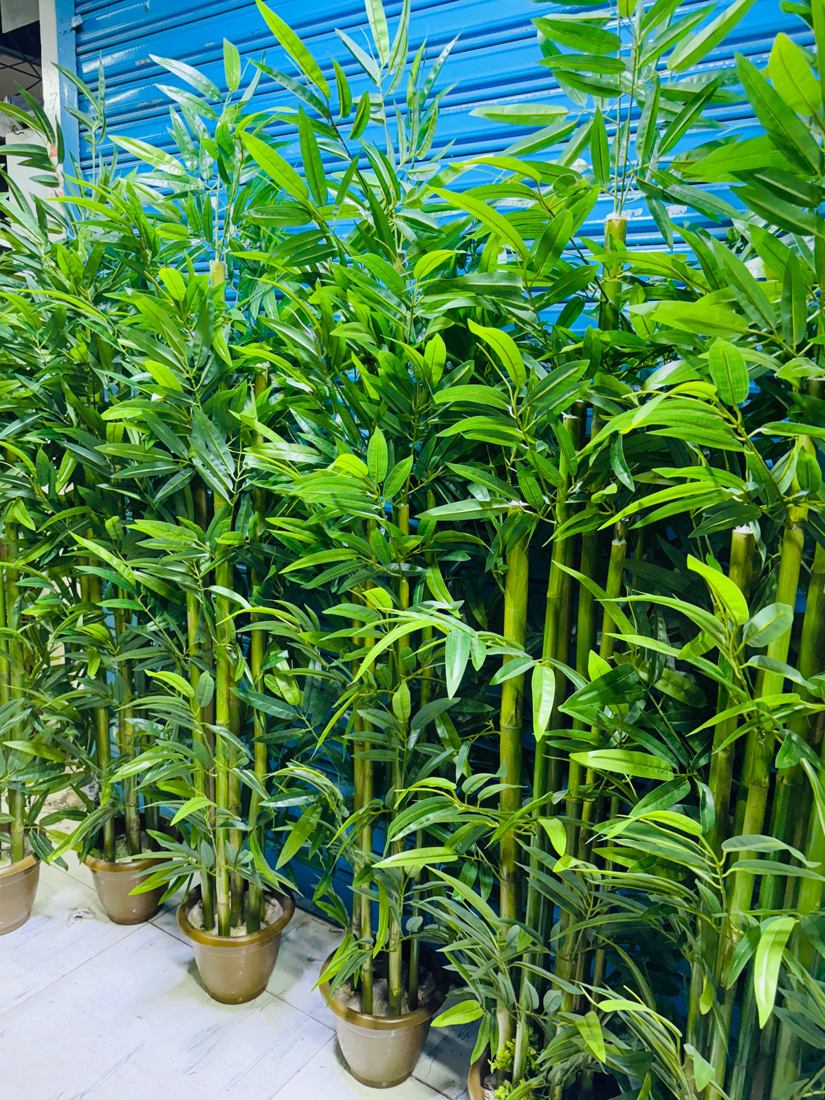 Chinese imported artificial rubber leaves bamboo tree 6 Feet+