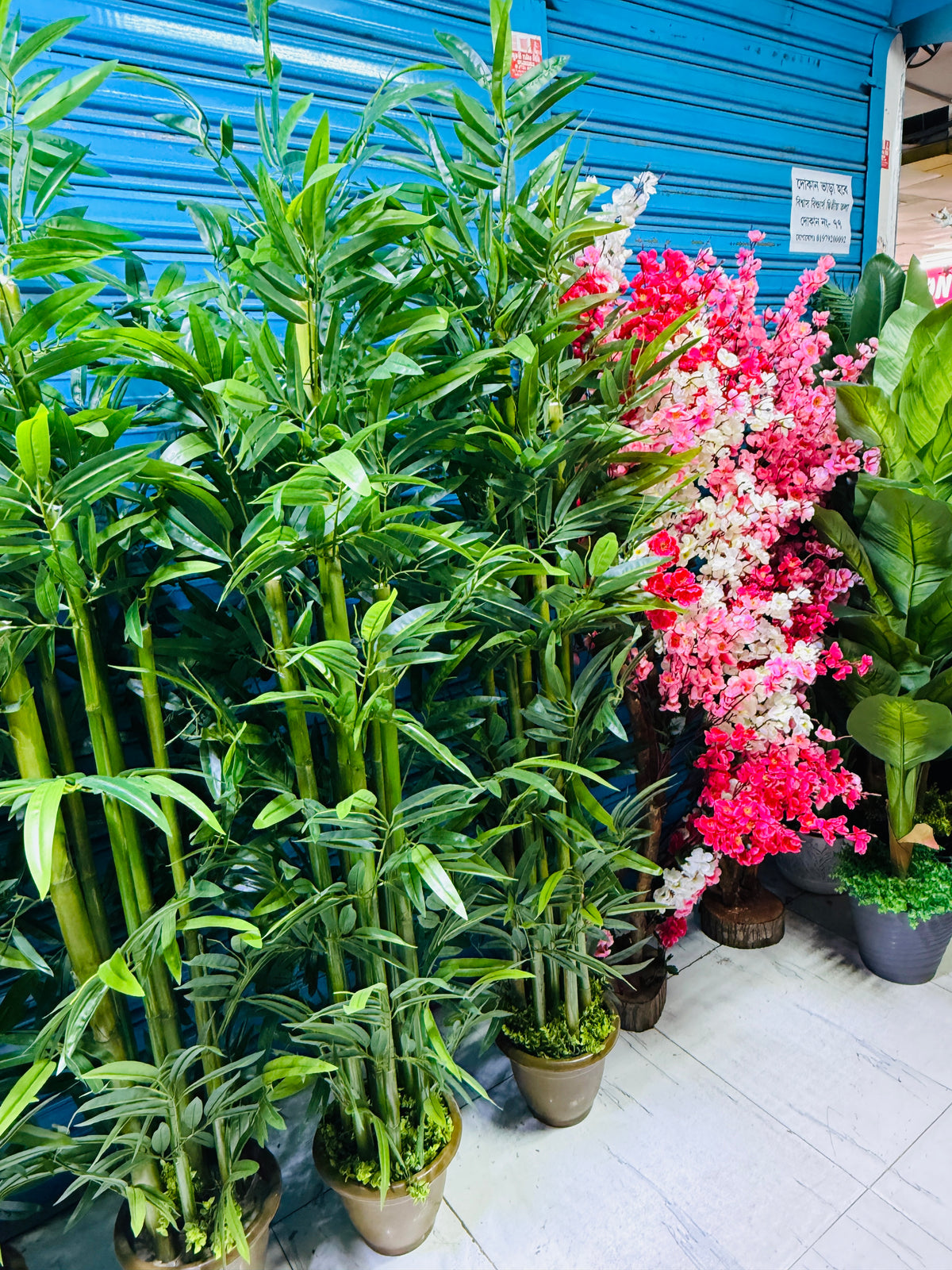 Chinese imported artificial rubber leaves bamboo tree 6 Feet+
