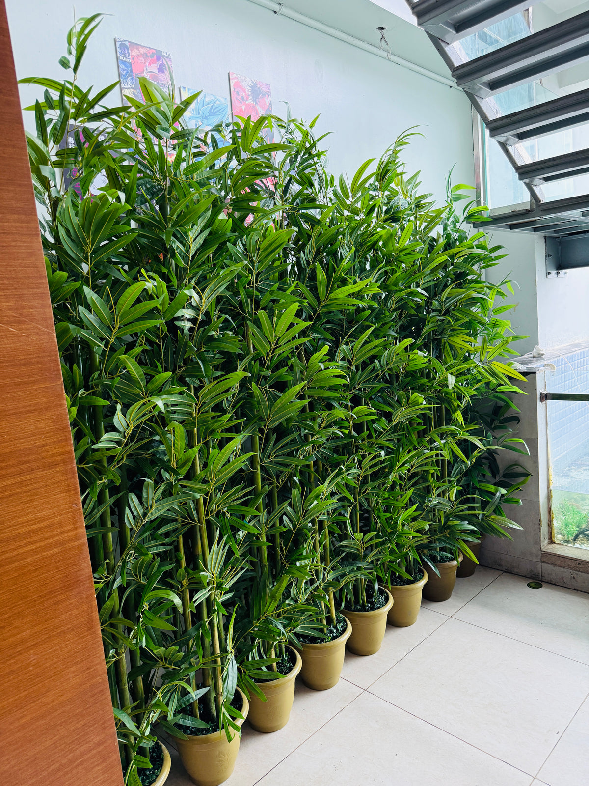 Chinese imported artificial rubber leaves bamboo tree 6 Feet+
