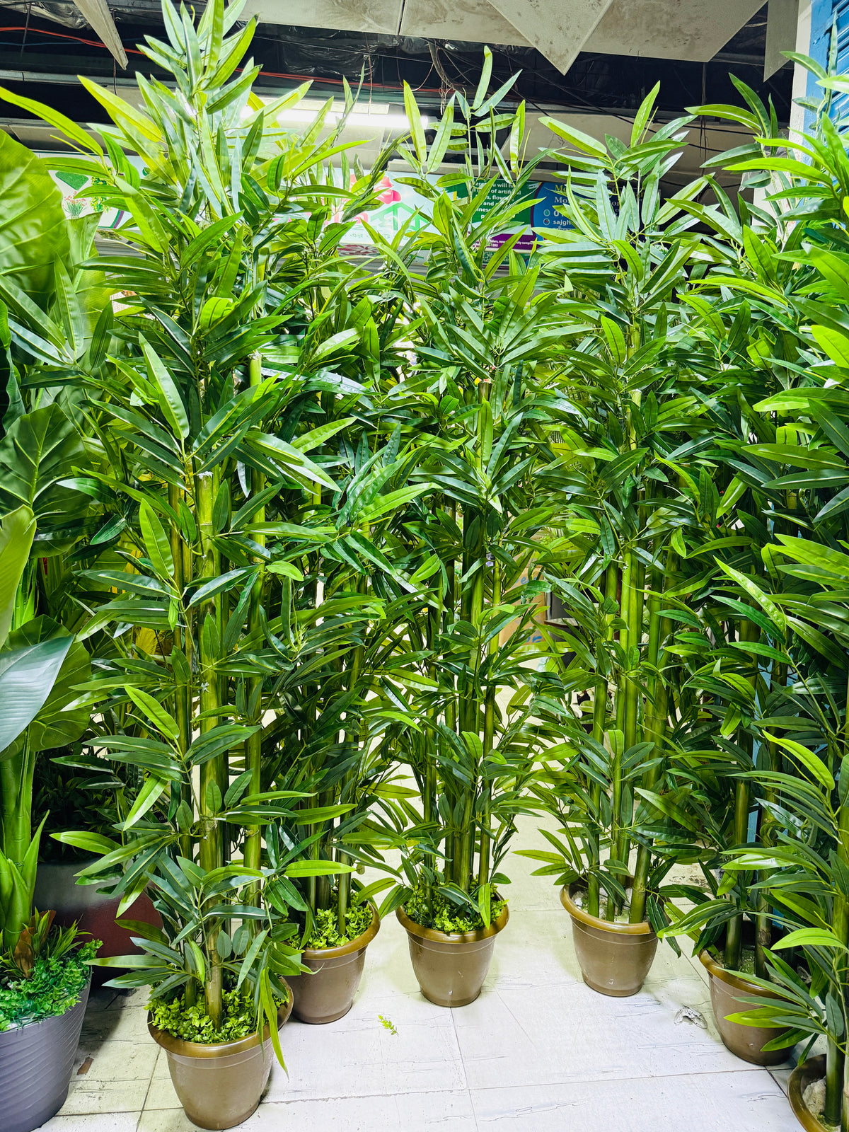 Chinese imported artificial rubber leaves bamboo tree 6 Feet+