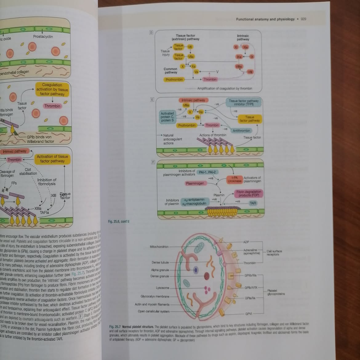 Davidson's Principles and Practice of Medicine 24e (3 Volume -Color Book)