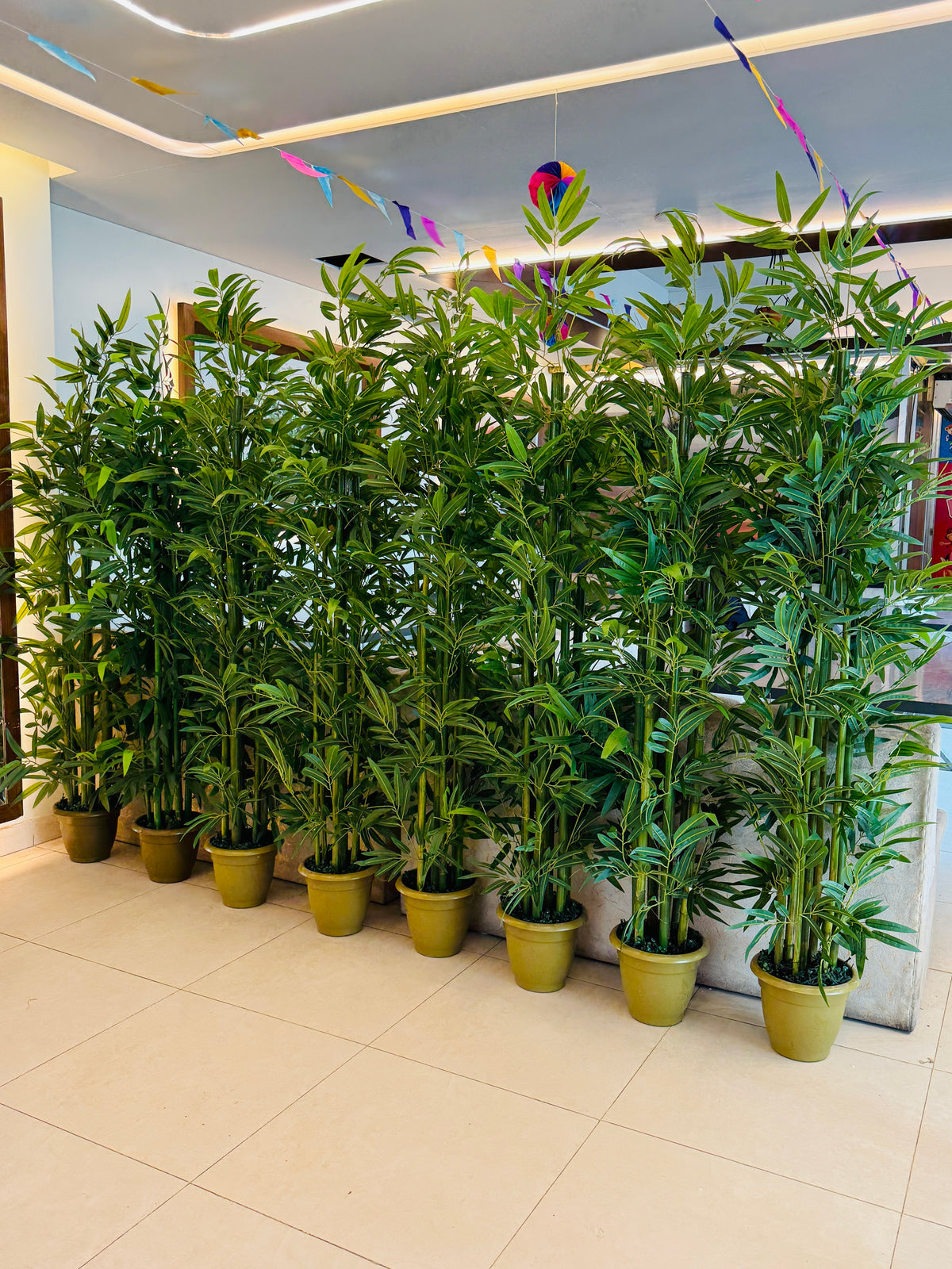 Chinese imported artificial rubber leaves bamboo tree 6 Feet+